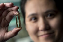 La batteria a base di nanowire permette centinaia di migliaia di cicli di ricarica. (Immagine: Steve Zylius/UCI)