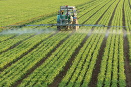 Le associazioni ambientaliste criticano la mancanza di trasparenza nell'autorizzazione di nuovi pesticidi