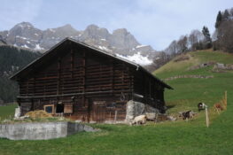 La cooperazione tra imprese di montagna e di valle porta benefici sia ecologici che economici.